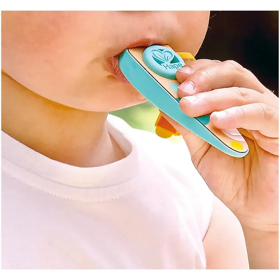 Hape Toys Hape Music Rhythm & Hum Pocket Kazoo