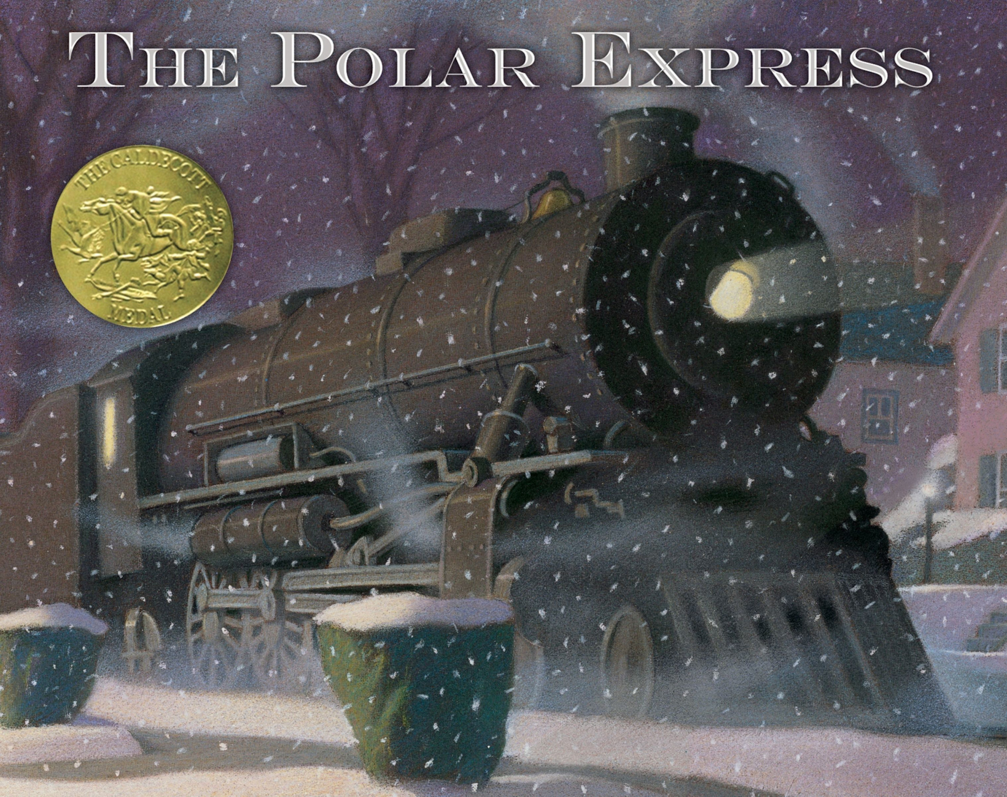 The Polar Express Book