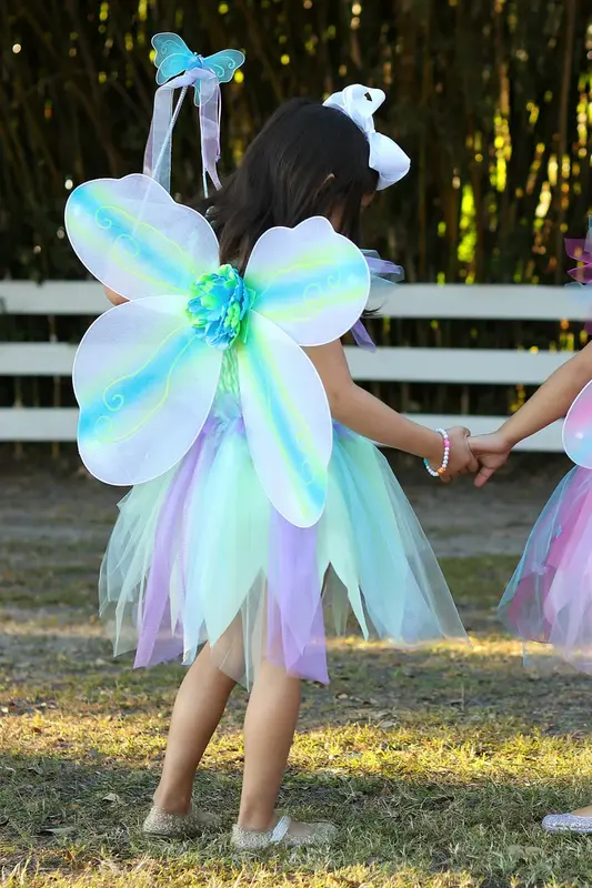 Great Pretenders Butterfly Dress & Wings with Wand Size 5-6 Green