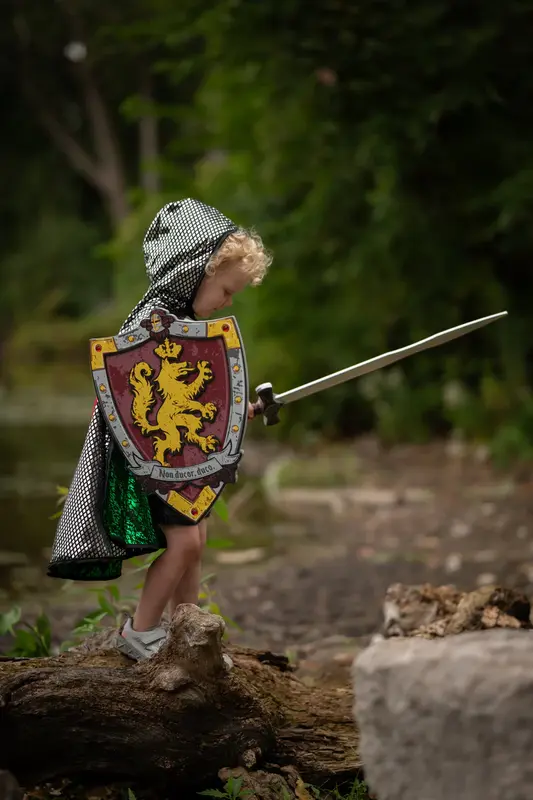 Great Pretenders Knights Honour Shield