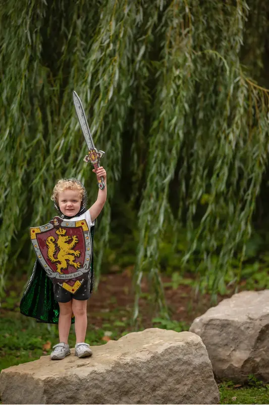 Great Pretenders Knights Honour Sword