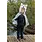 Great Pretenders Woodland Storybook Wolf Cape Size 4-6