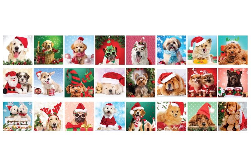 Eurographic Puzzle Advent Calendar 24 Christmas Paws