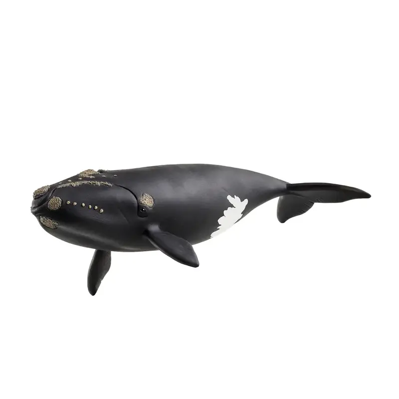 Schleich Schleich Wild Life North Atlantic Right Whale
