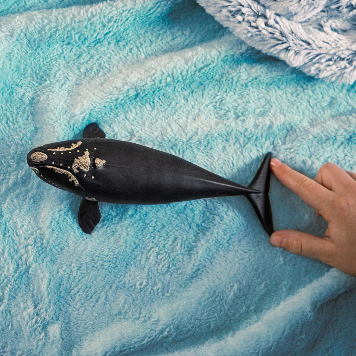 Schleich Schleich Wild Life North Atlantic Right Whale