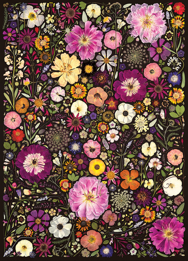 Cobble Hill Puzzles Cobble Hill  Puzzle 500pc Flower Press: Little Hollow & Red Daisy