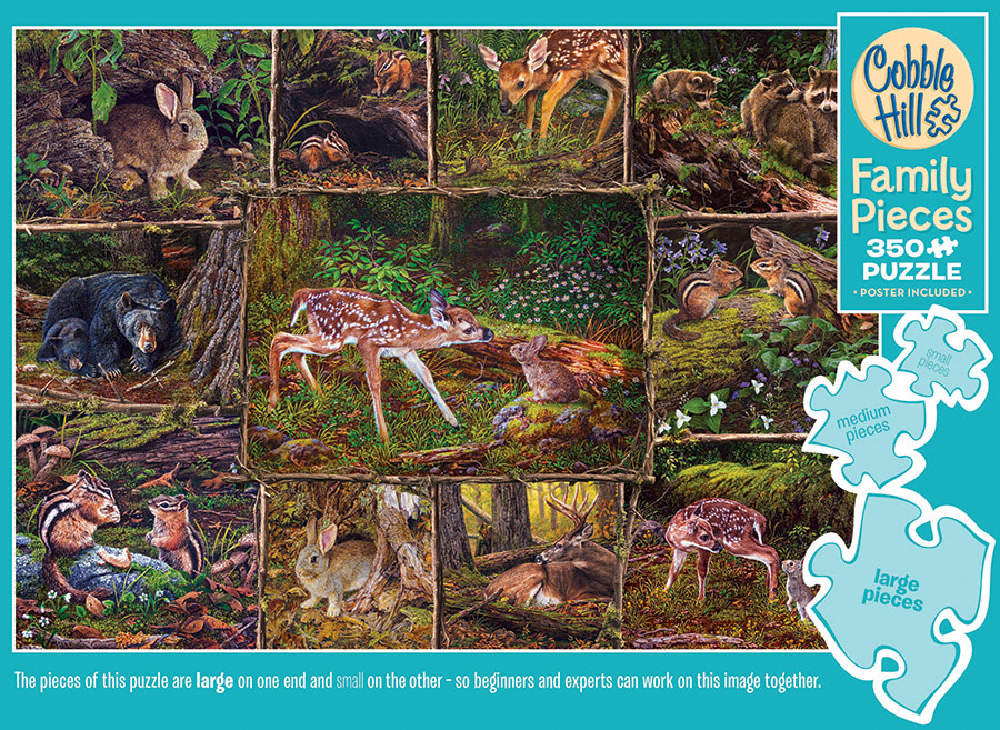 Cobble Hill Puzzles Cobble Hill Family Puzzle 350pc Into the Woods