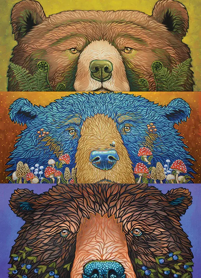 Cobble Hill Puzzles Cobble Hill  Puzzle 500pc Bear Eye: Harvest