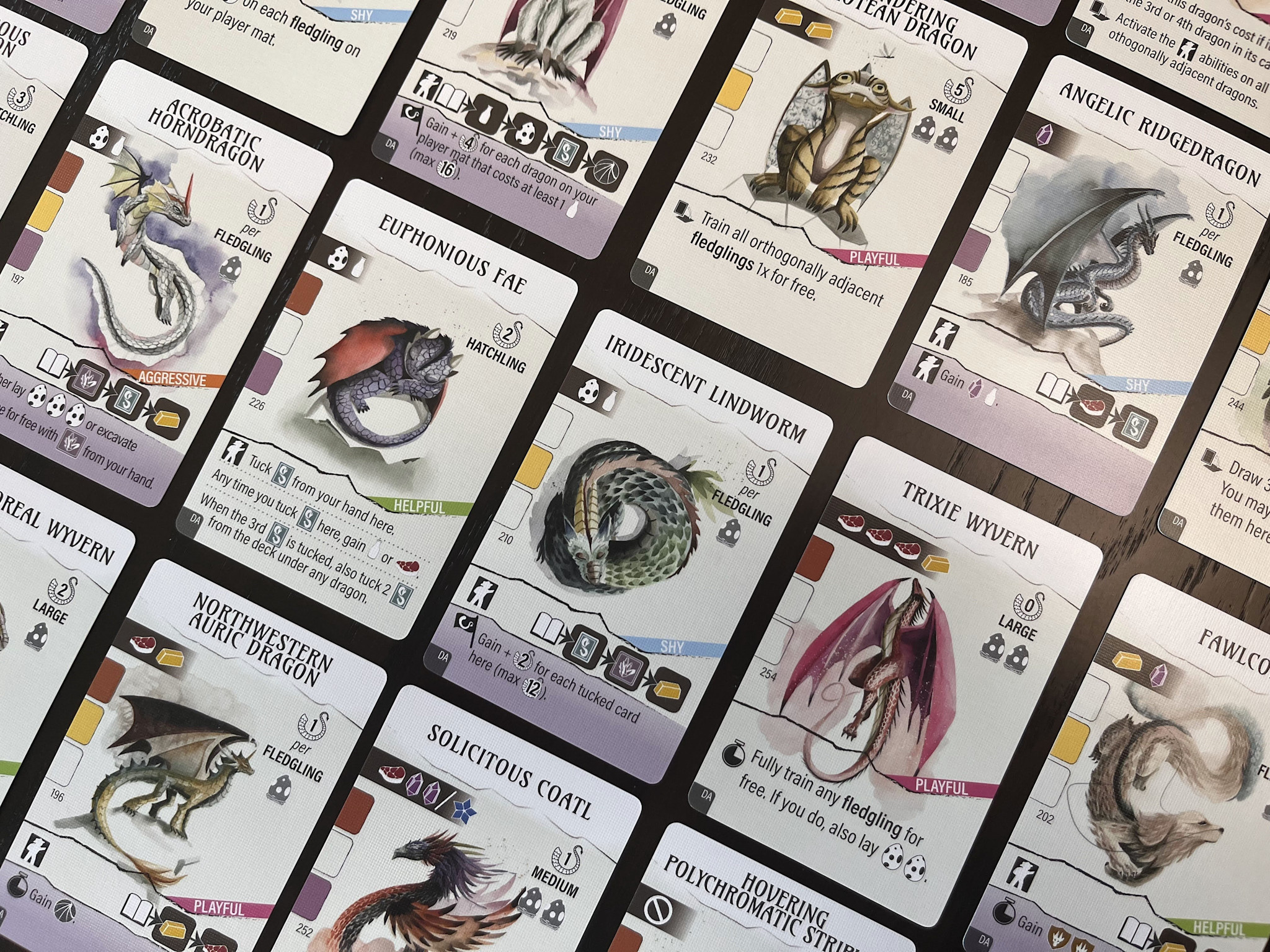 Wyrmspan Game Expansion Dragon Academy