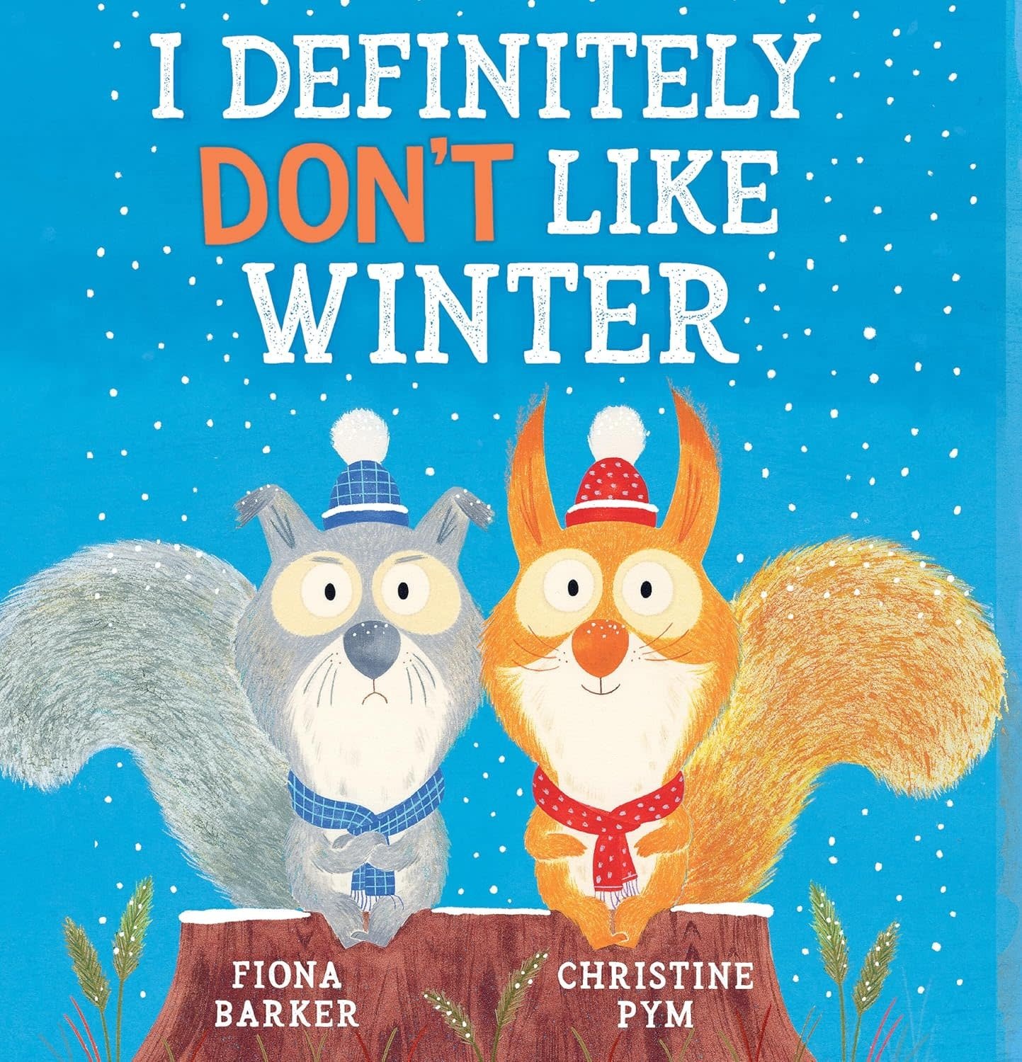 I Definitely Don't Like Winter Book