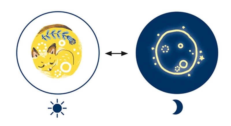 Djeco Tattoos Sweet Dreams Glow