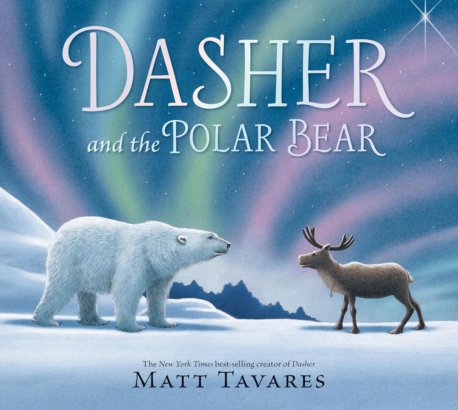 Dasher and the Polar Bear Book