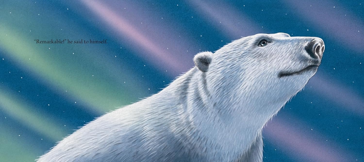 Dasher and the Polar Bear Book