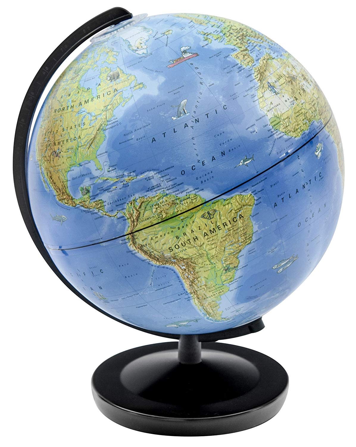 Thames & Kosmos Globe Day & Night