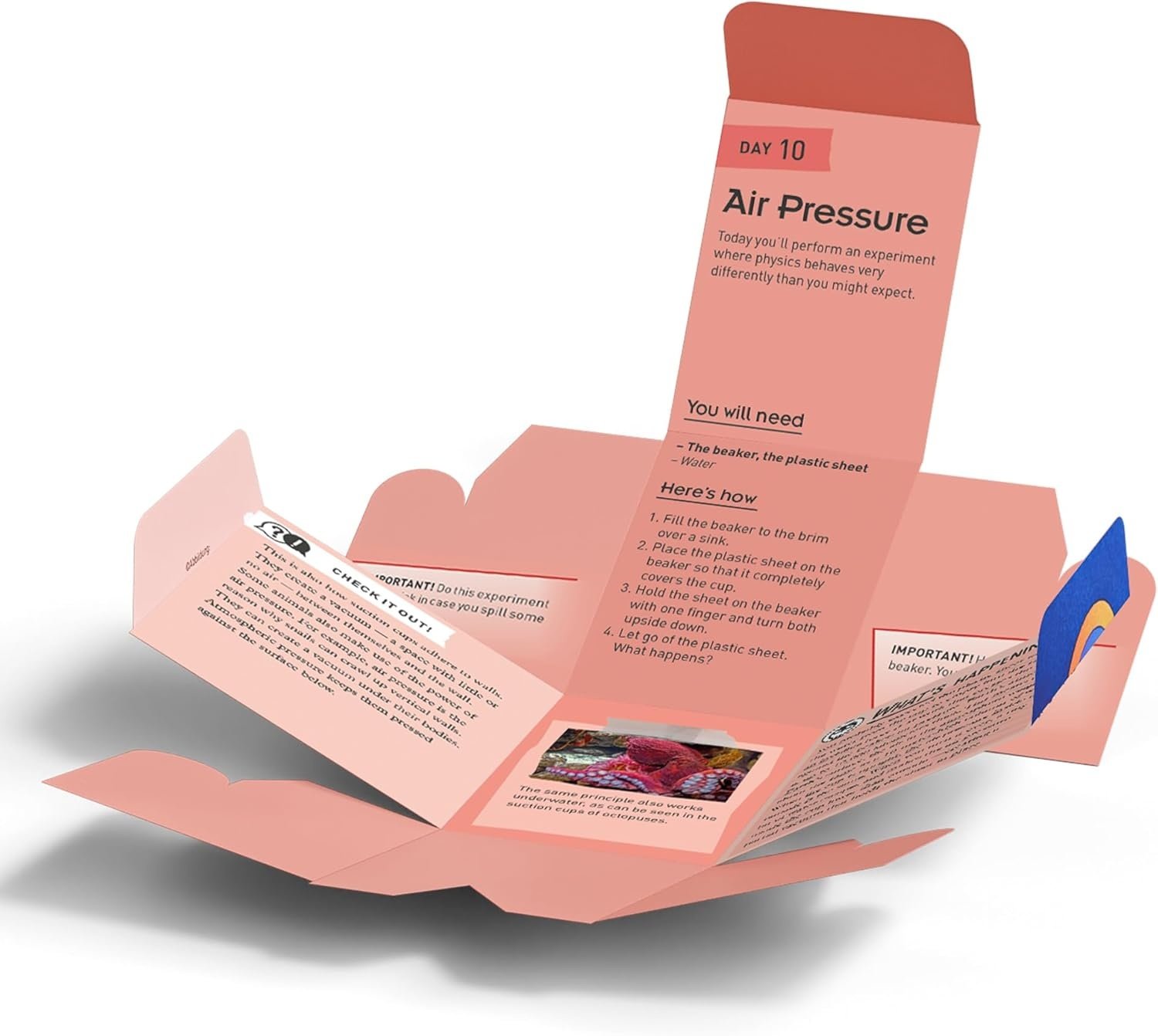 Thames & Kosmos Thames & Kosmos Science Advent Calendar Vol 3