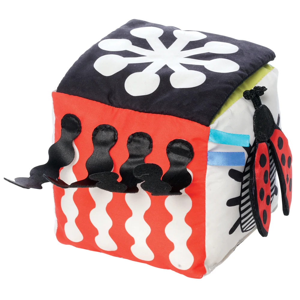 Manhattan Toy Wimmer Discovery Cube