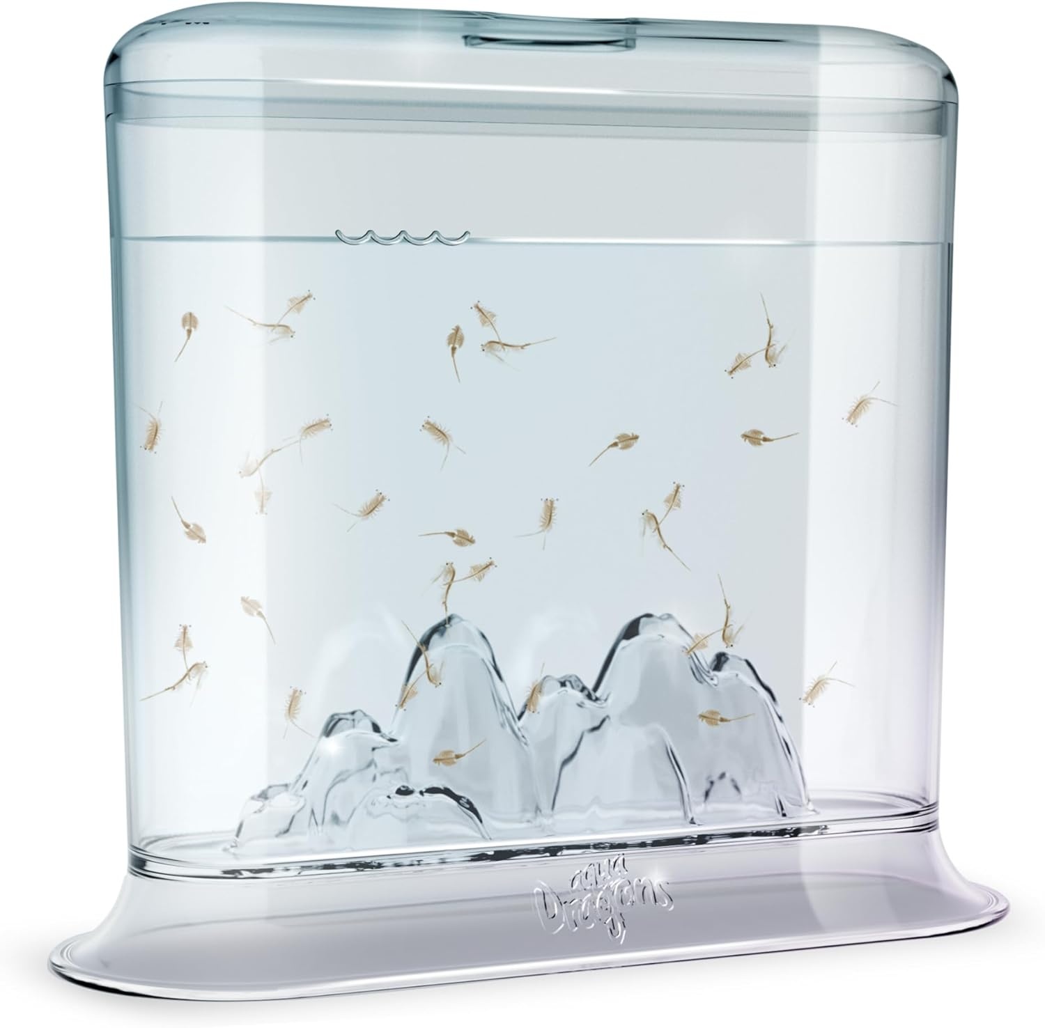 Aqua Dragons Hatch and Grow Tank