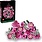 Lego Lego Botanicals Bouquet of Pink Roses
