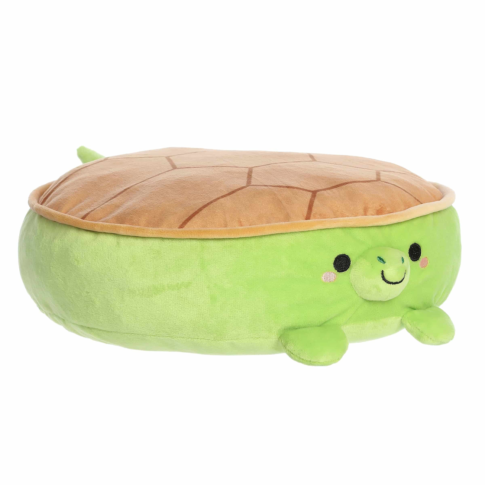 Flapjacks Torta Turtle