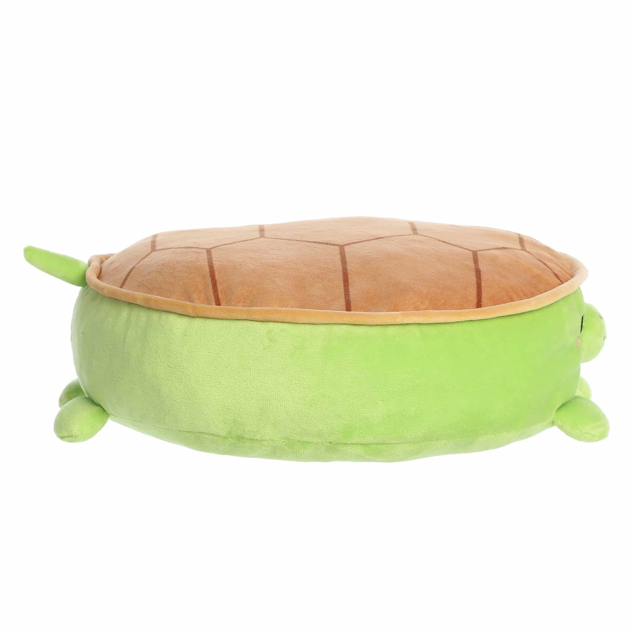 Flapjacks Torta Turtle