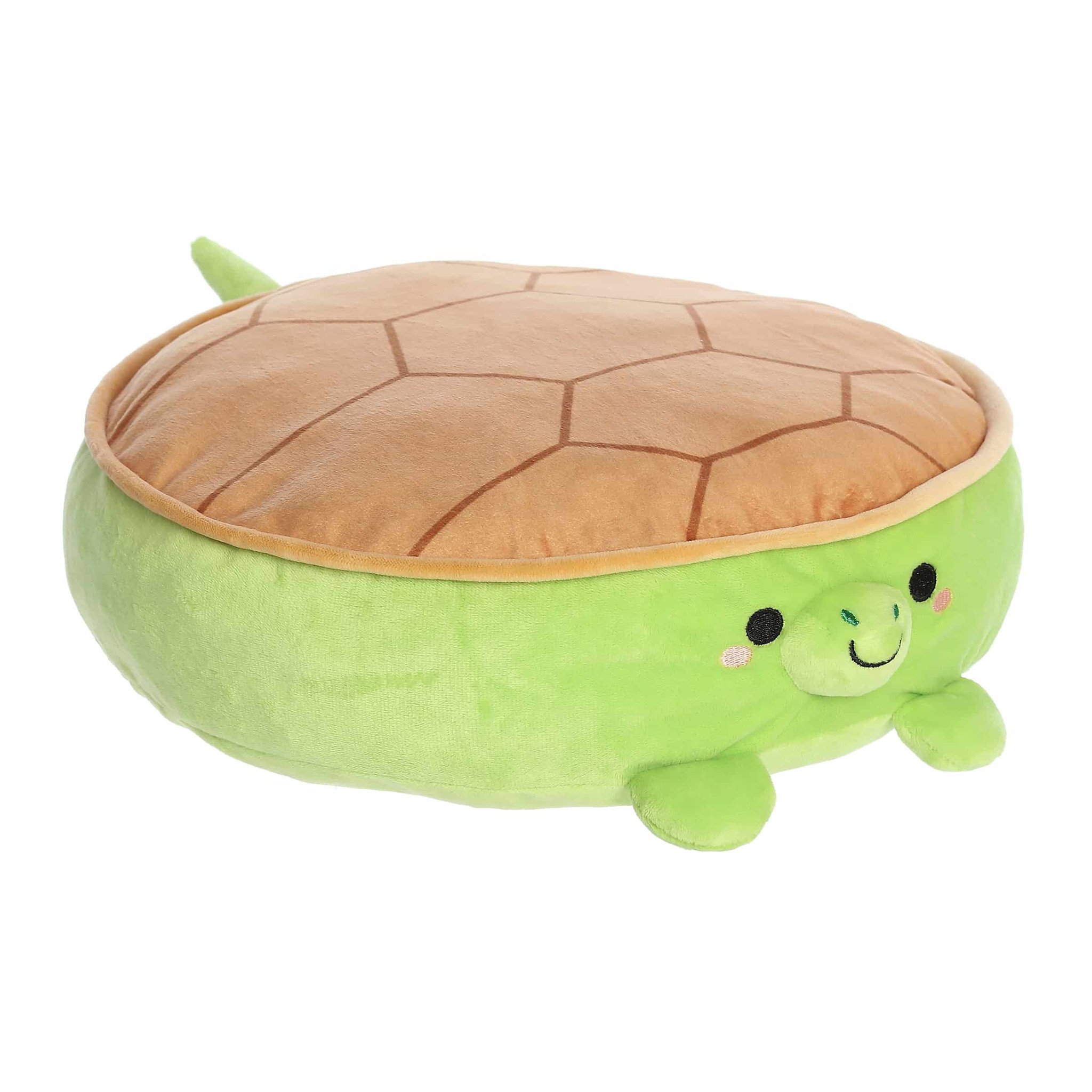 Flapjacks Torta Turtle