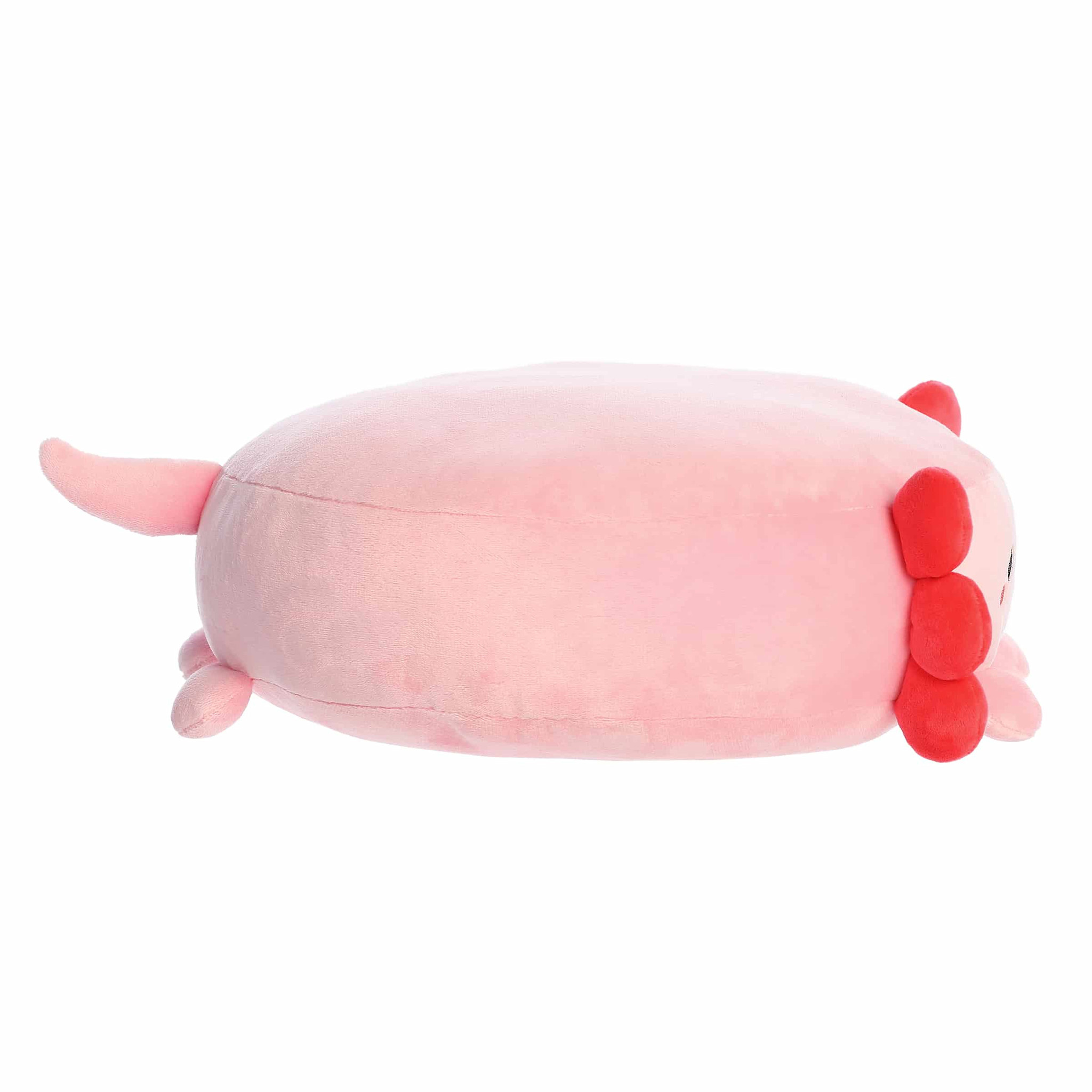 Flapjacks Angelo Axolotl