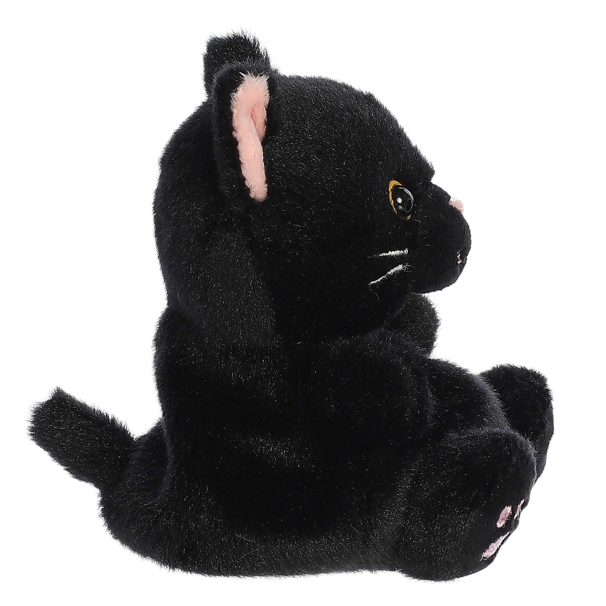 Palm Pals Twilight Black Cat