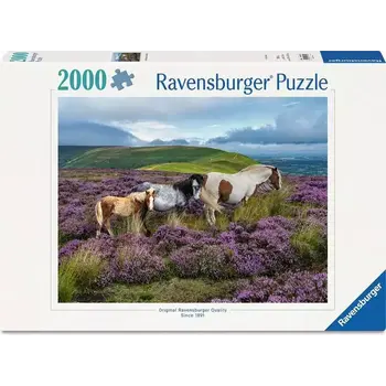 Ravensburger Ravensburger Puzzle 2000pc Wild Horses in the Heather