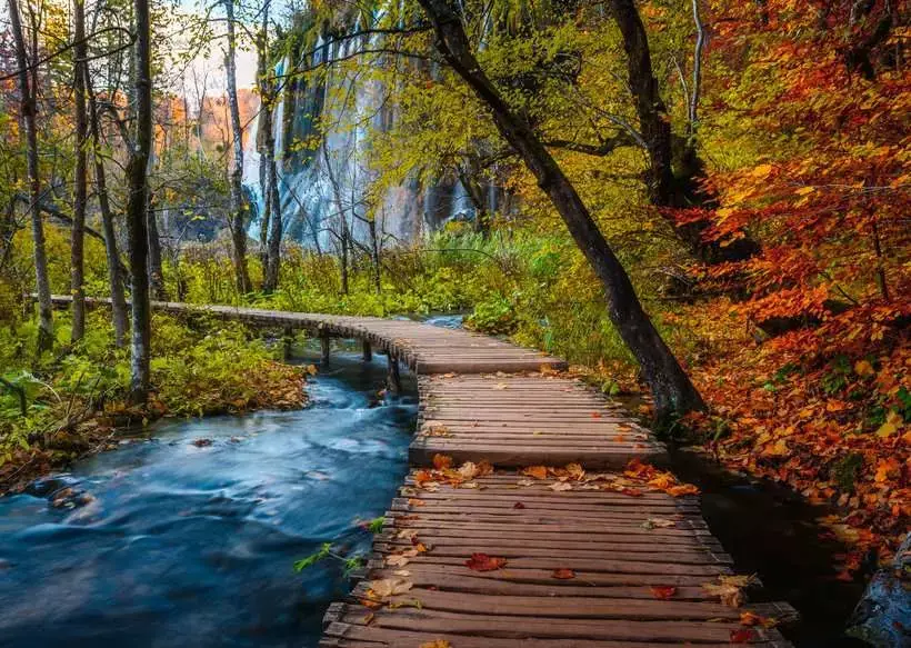 Ravensburger Ravensburger Puzzle 1000pc Autumnal Wooden Trail