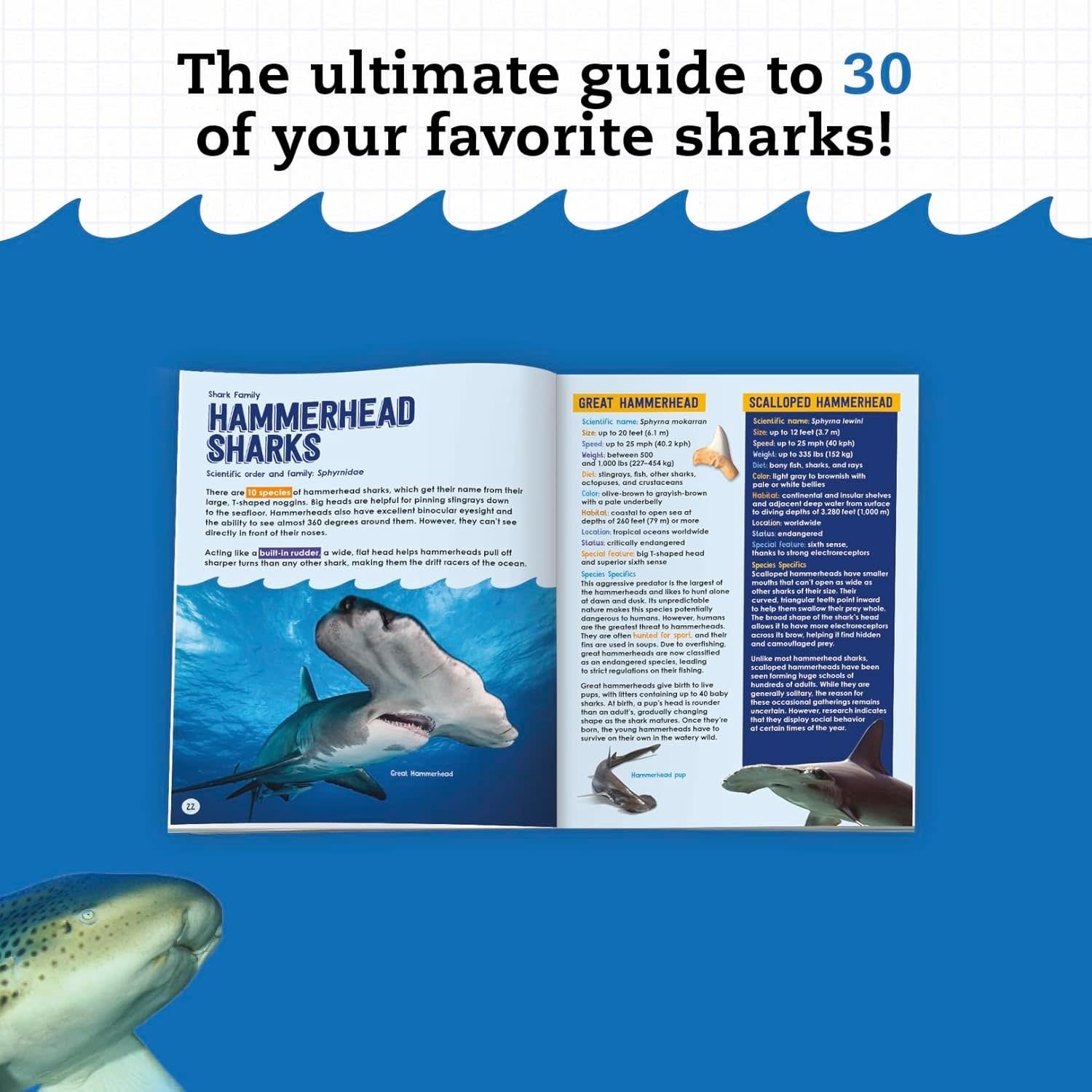 Klutz Klutz Shark-Tastic Teeth!