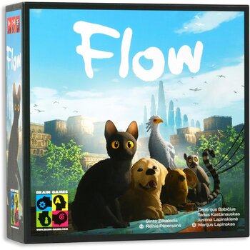 Flow Board Game
