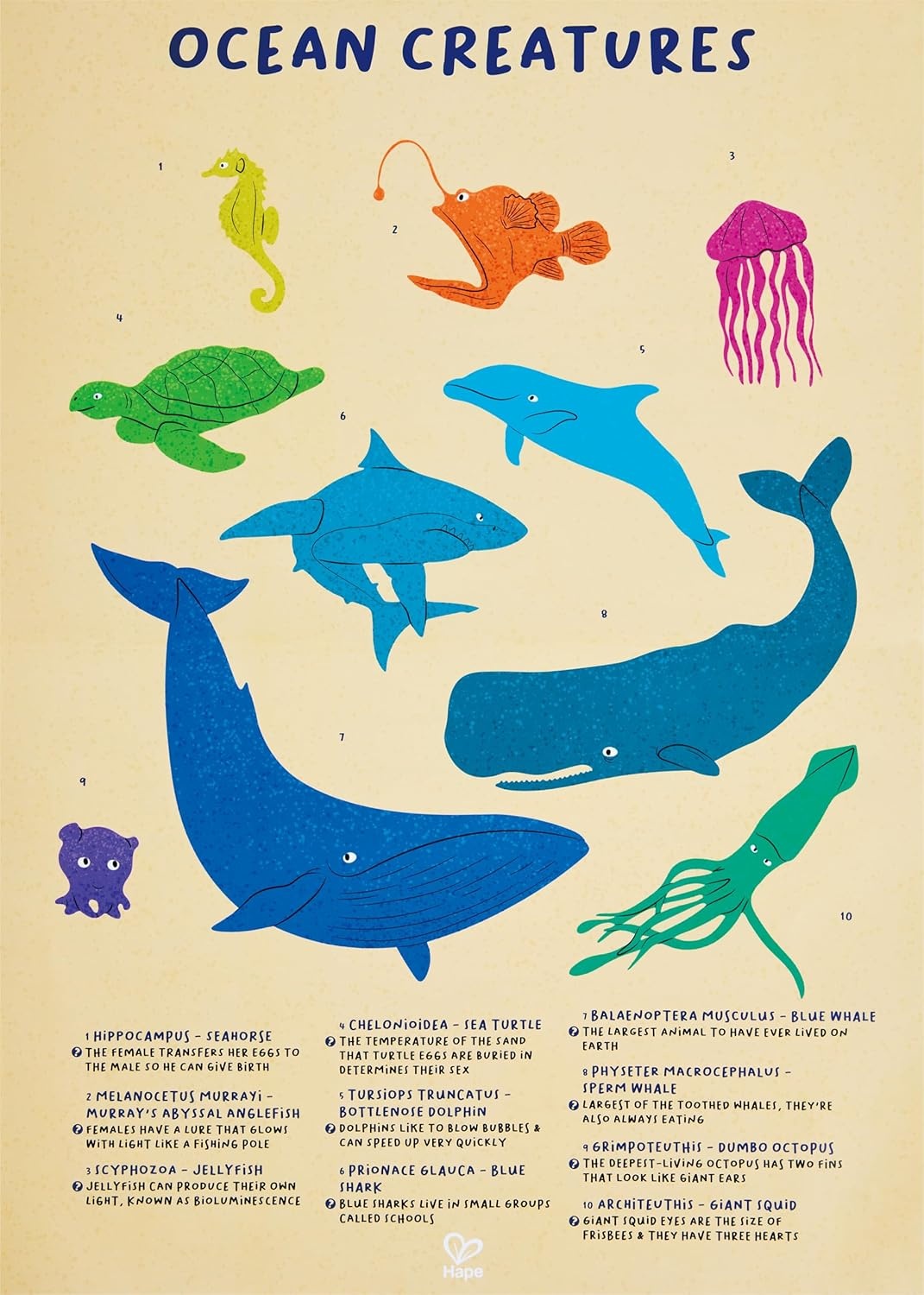 Hape Toys Hape Floor Puzzle: Humpback Whale Shimmer