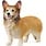 Schleich Schleich Farm World Welsh Corgi