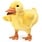 Folkmanis Folkmanis Puppet Duckling