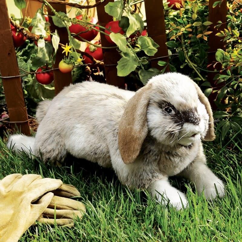 Folkmanis Folkmanis Puppet Holland Lop