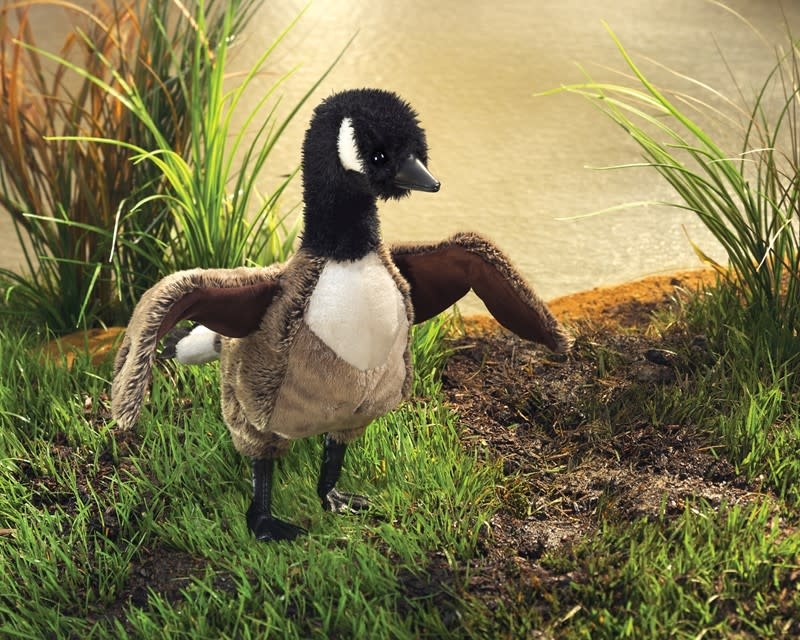 Folkmanis Folkmanis Puppet Canada Goose