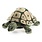 Folkmanis Folkmanis Puppet Tortoise