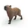 Schleich Schleich Wild Life Capybara