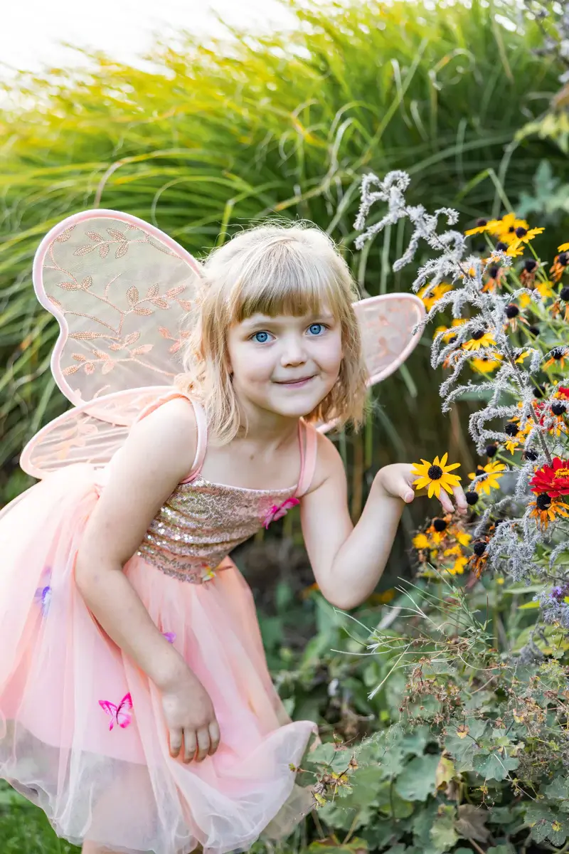 Great Pretenders Butterfly Bliss Wings, Peach