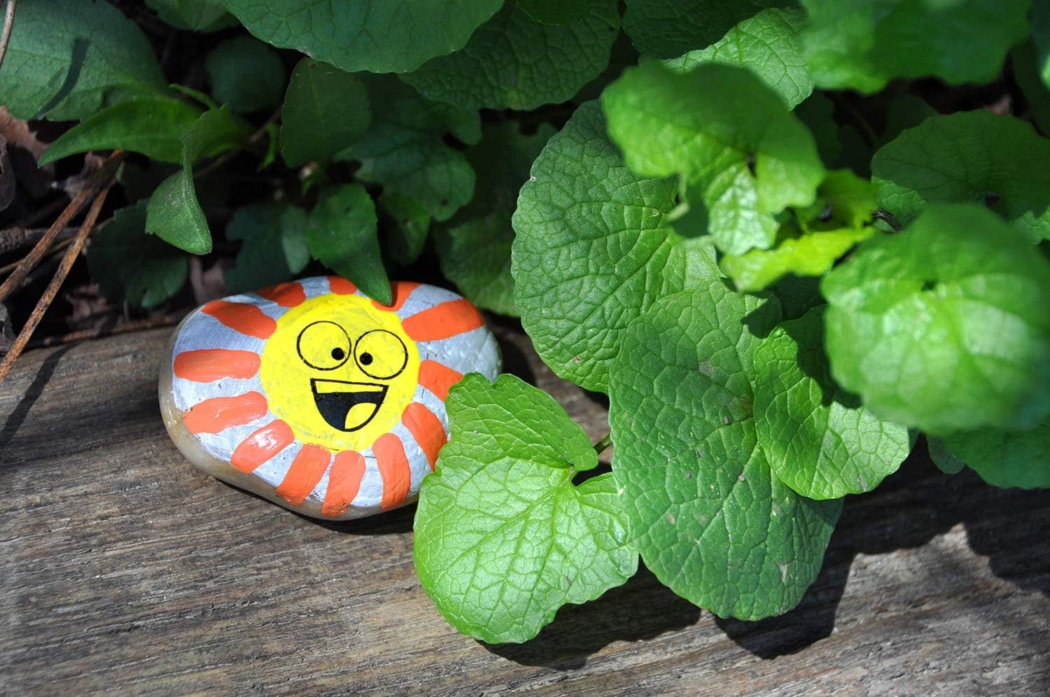 Creativity for Kids Hide & Seek Rock Painting