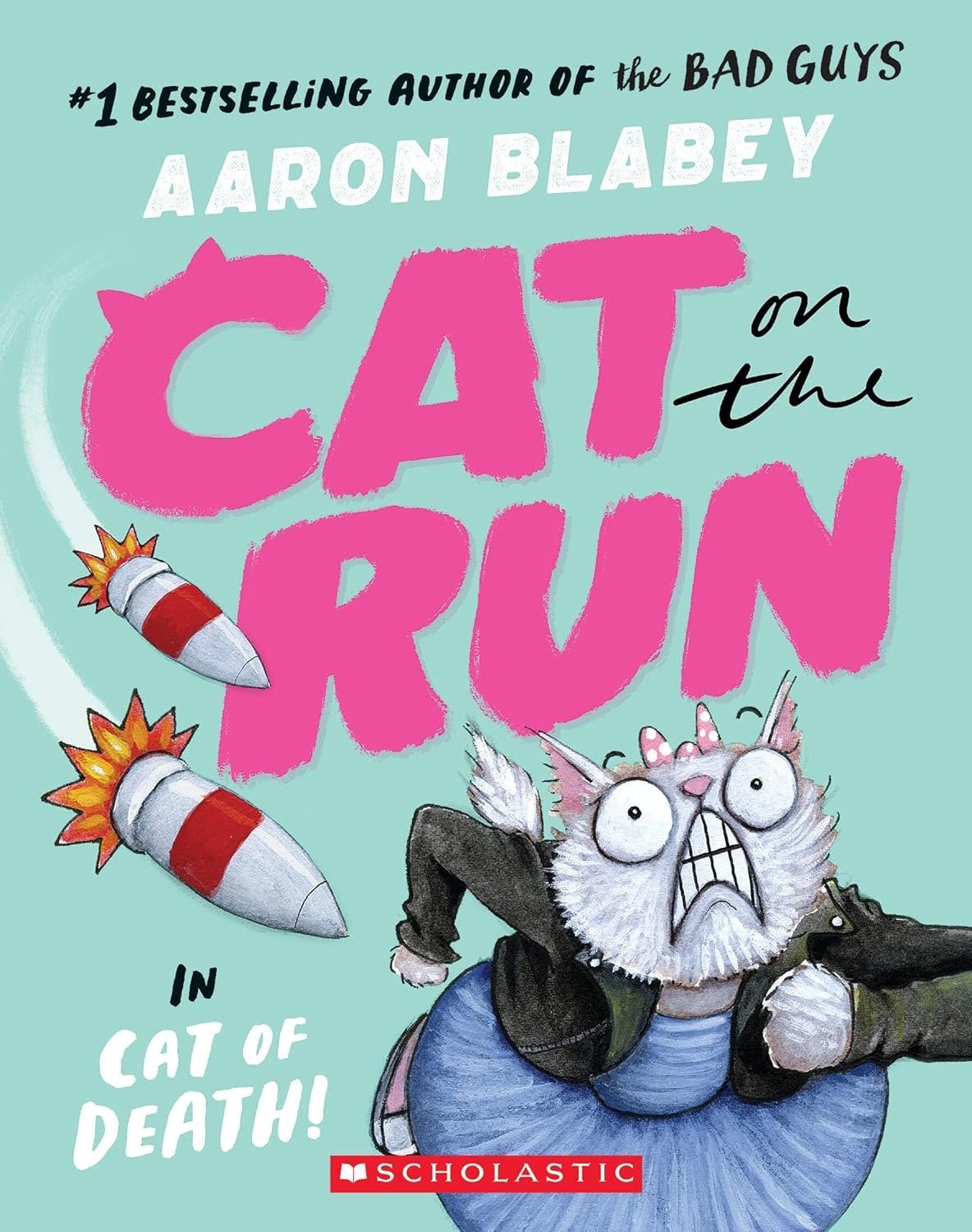 Cat on the Run Book 1