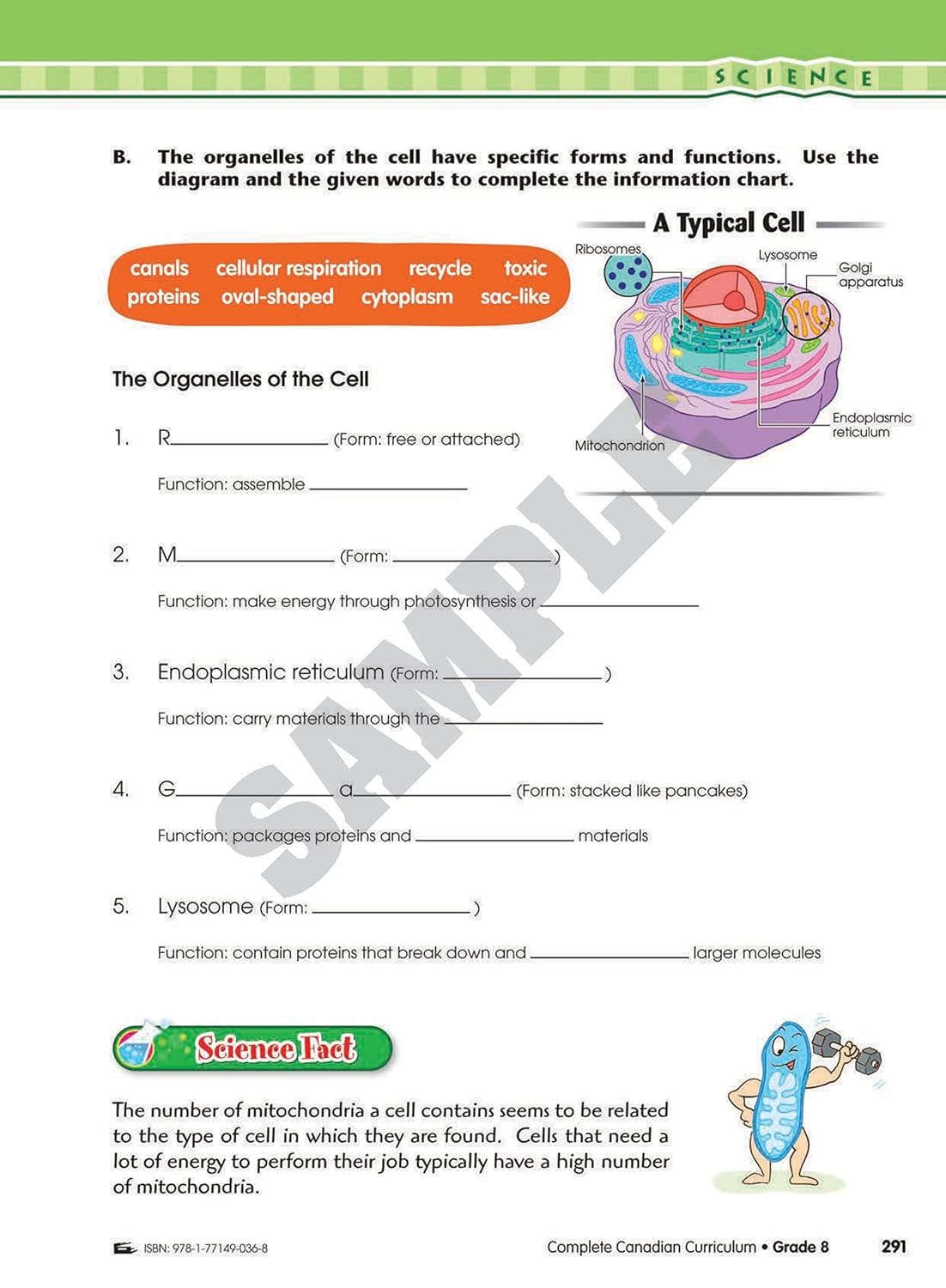 Complete Canadian Curriculum Grade 8: Enriched