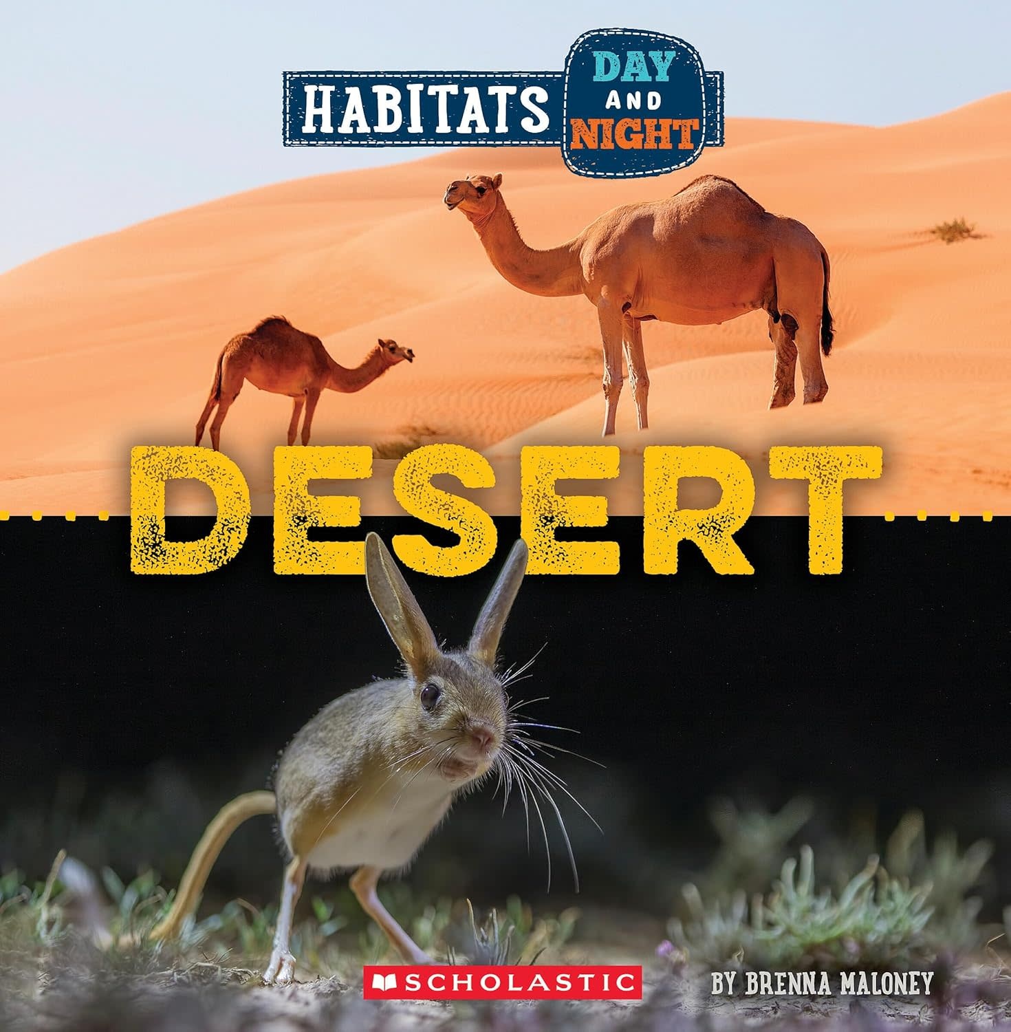 Habitats Day and Night: Desert