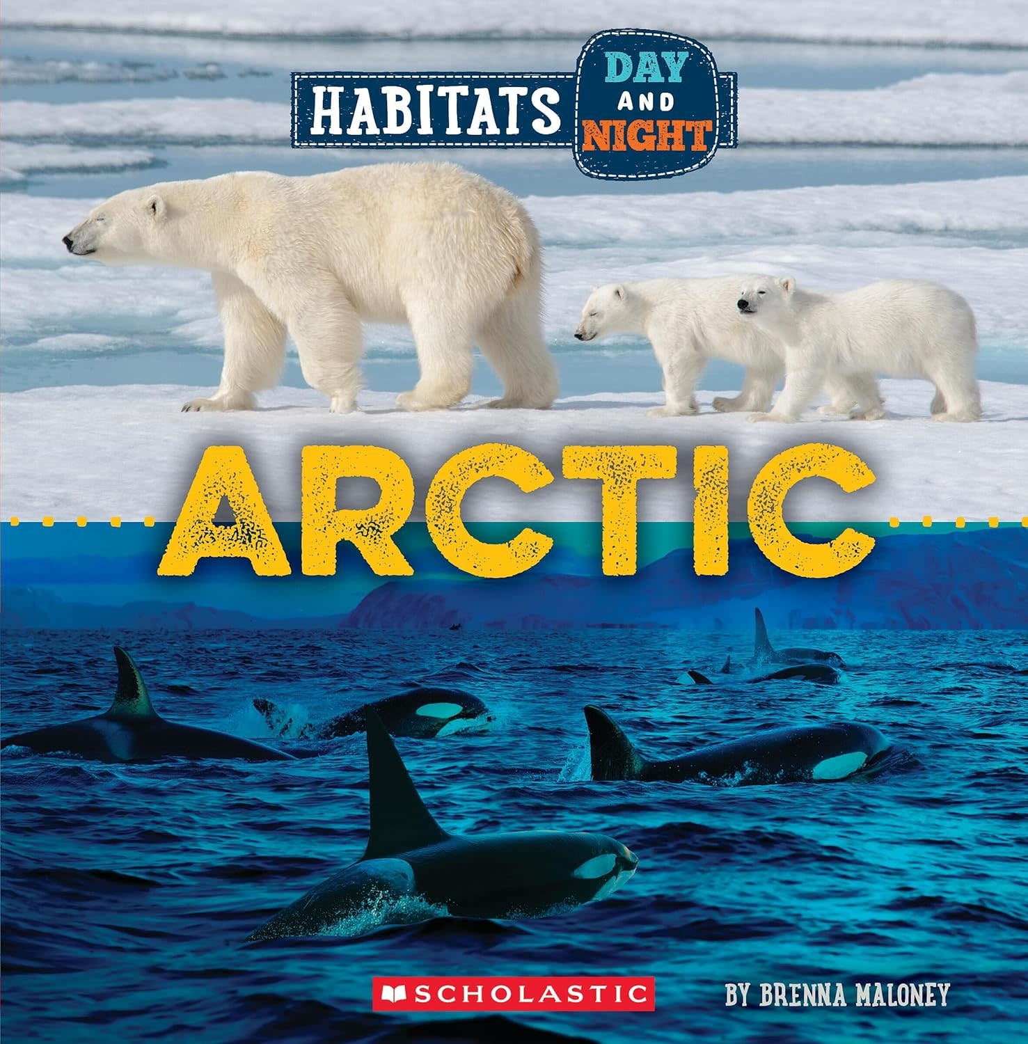 Habitats Day and Night: Arctic