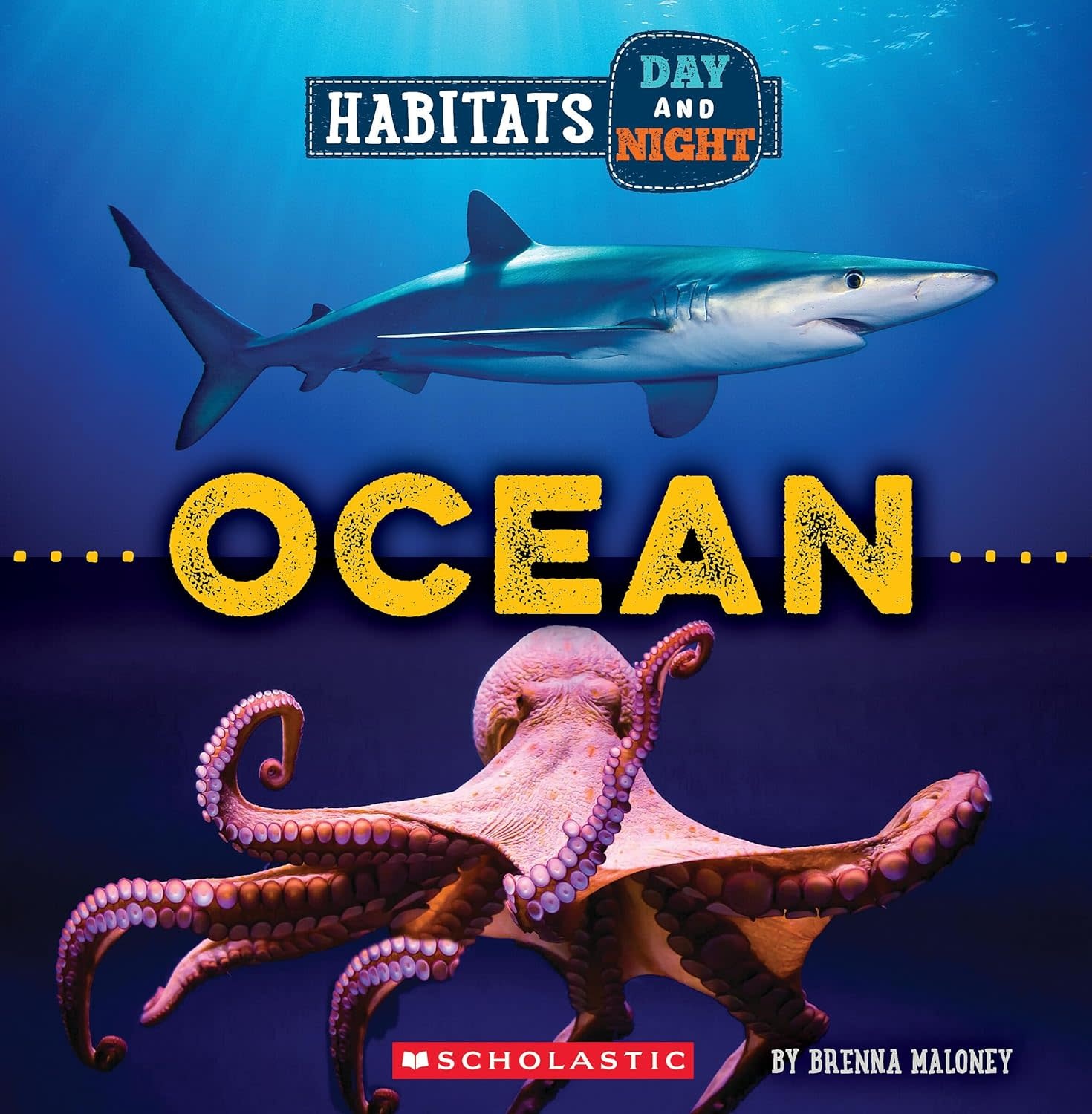 Habitats Day and Night: Ocean