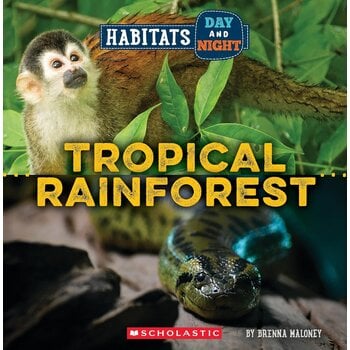 Habitats Day and Night: Tropical Rainforest