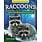 Firefly Books Backyard Safari Book: Raccoons
