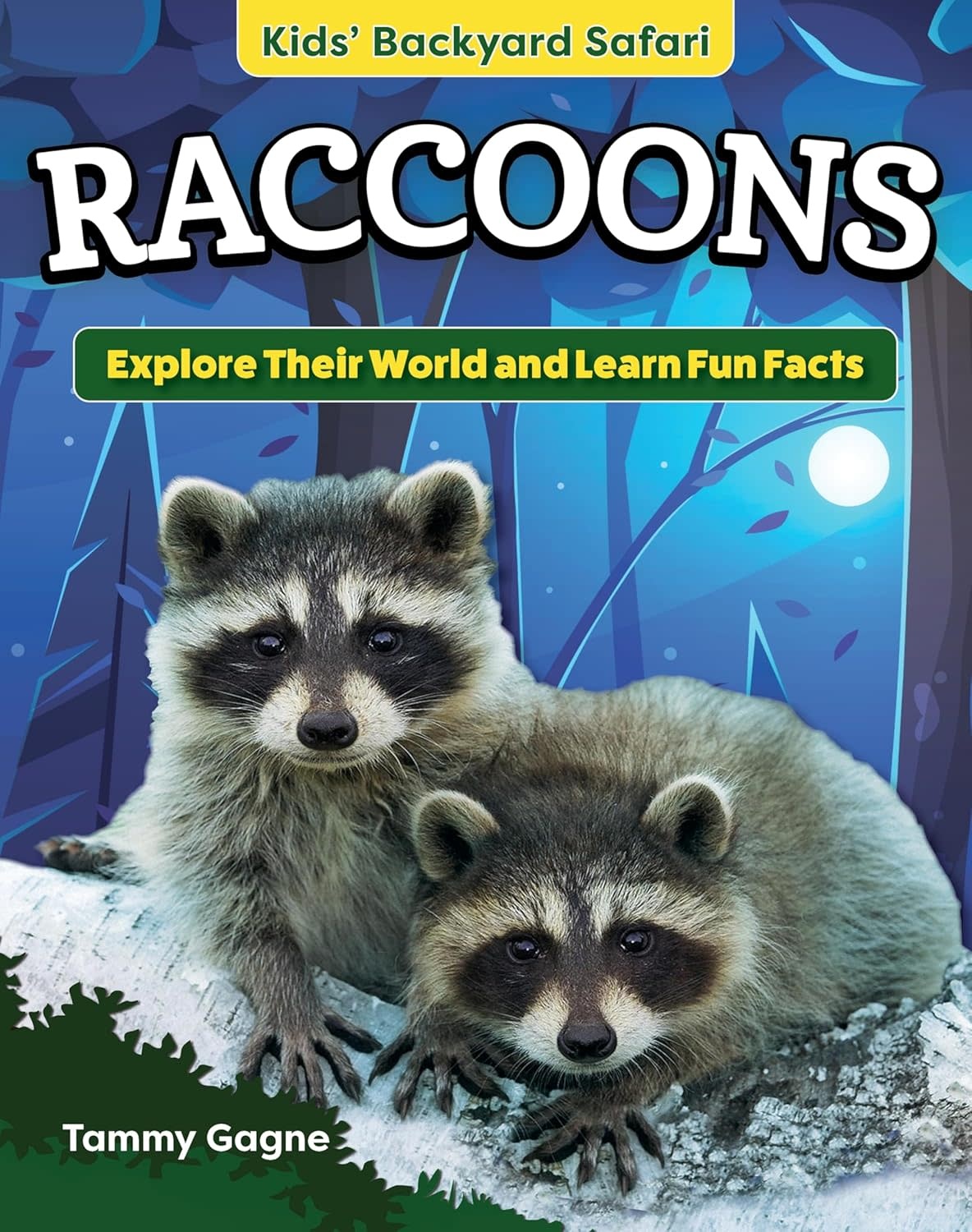 Firefly Books Backyard Safari Book: Raccoons