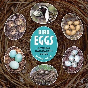 Bird Eggs Book: A Young Naturalist's Guide