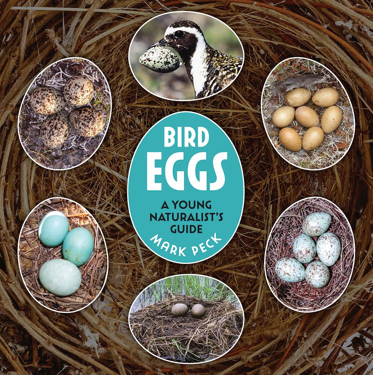 Bird Eggs Book: A Young Naturalist's Guide